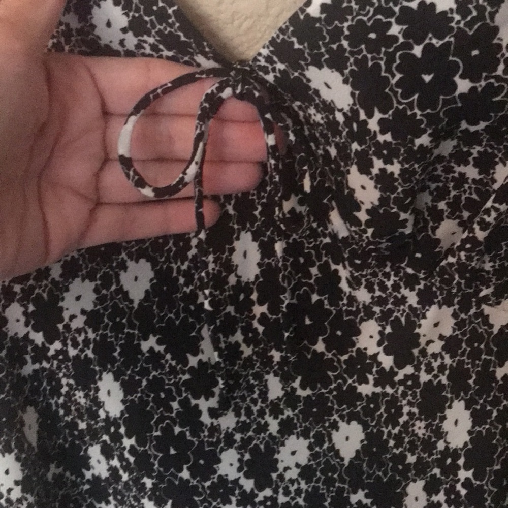 Express Dress - Picture 4 of 4